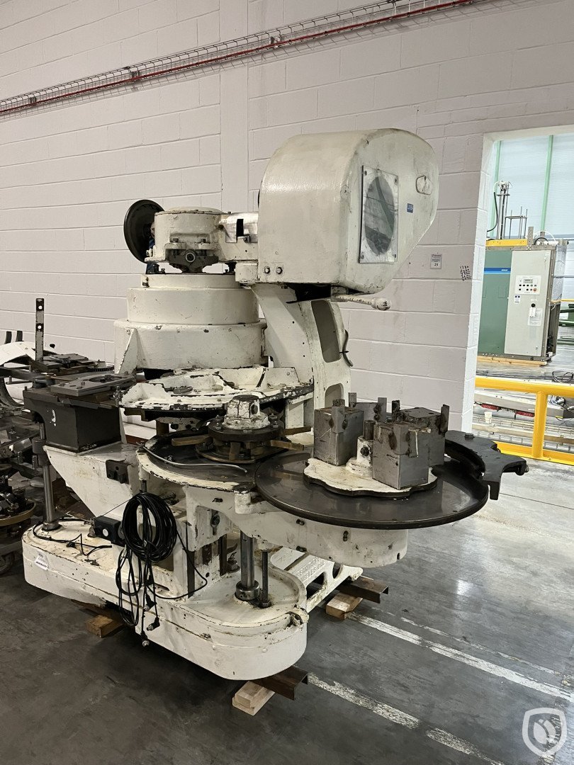 Angelus 50 PR DF